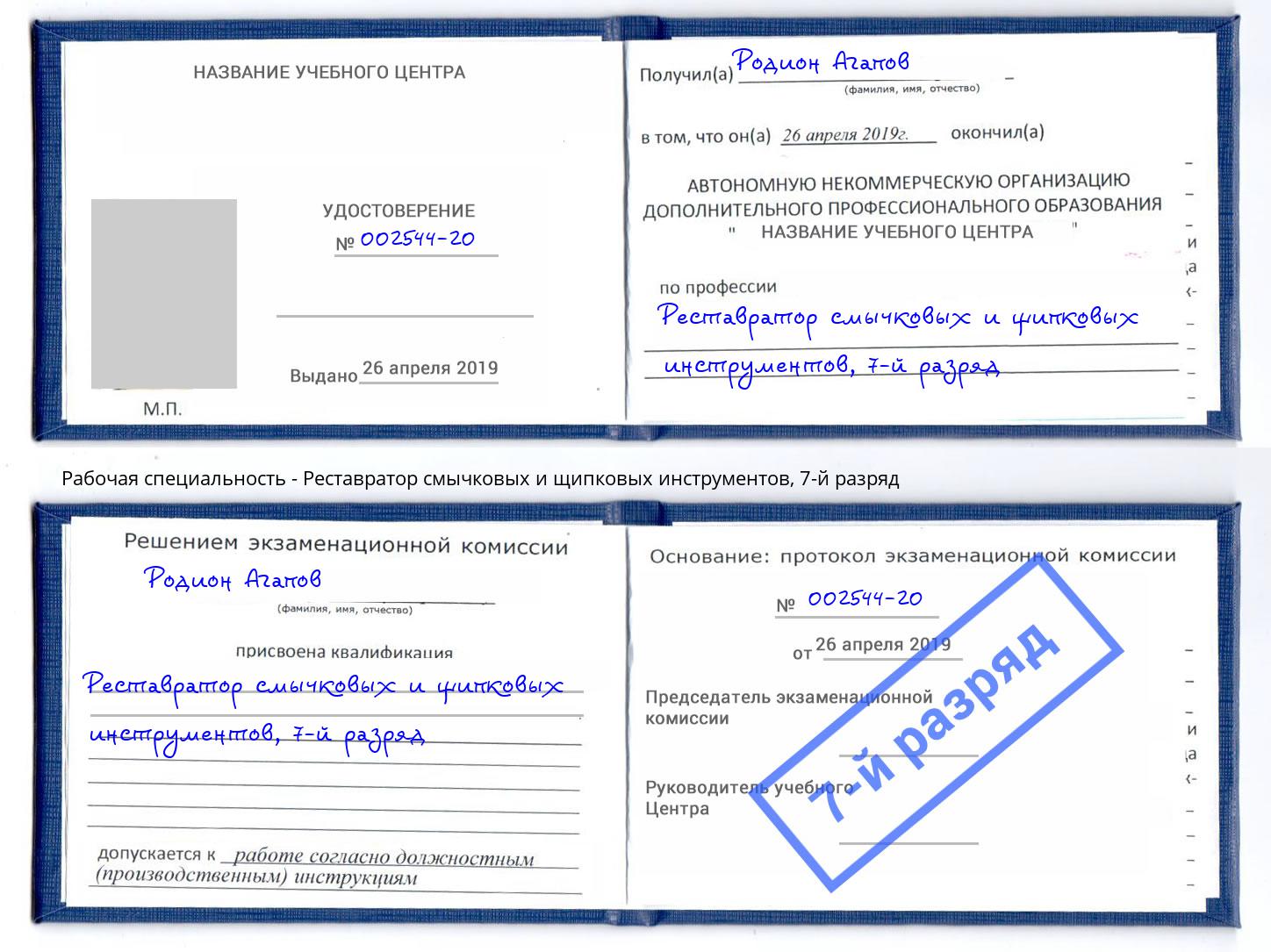 корочка 7-й разряд Реставратор смычковых и щипковых инструментов Можайск