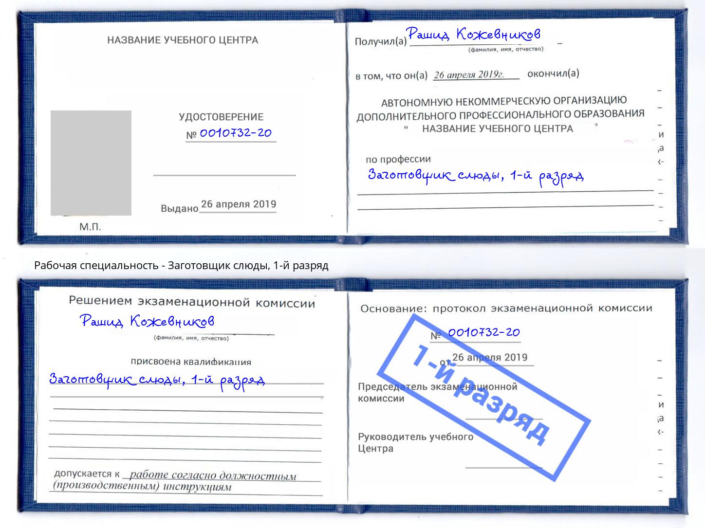корочка 1-й разряд Заготовщик слюды Можайск